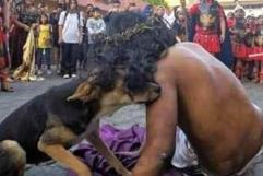 Perro callejero protege a Jesús en un viacrucis en Guatemala