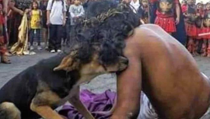 Perro callejero protege a Jesús en un viacrucis en Guatemala