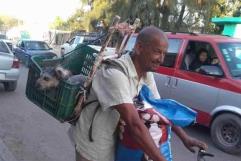 Resguardara asociación 50 perritos de rescatista asesinado en Guanajuato
