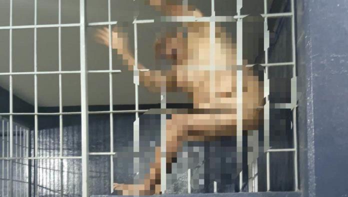 Arrestan al Shocker tras desnudarse y daños en hotel de Oaxaca