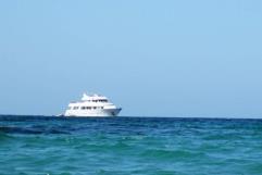 Crucero deja abandonado a 8 turistas en isla africana