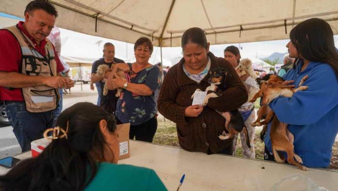 Ofrecen servicios para las mascotas 