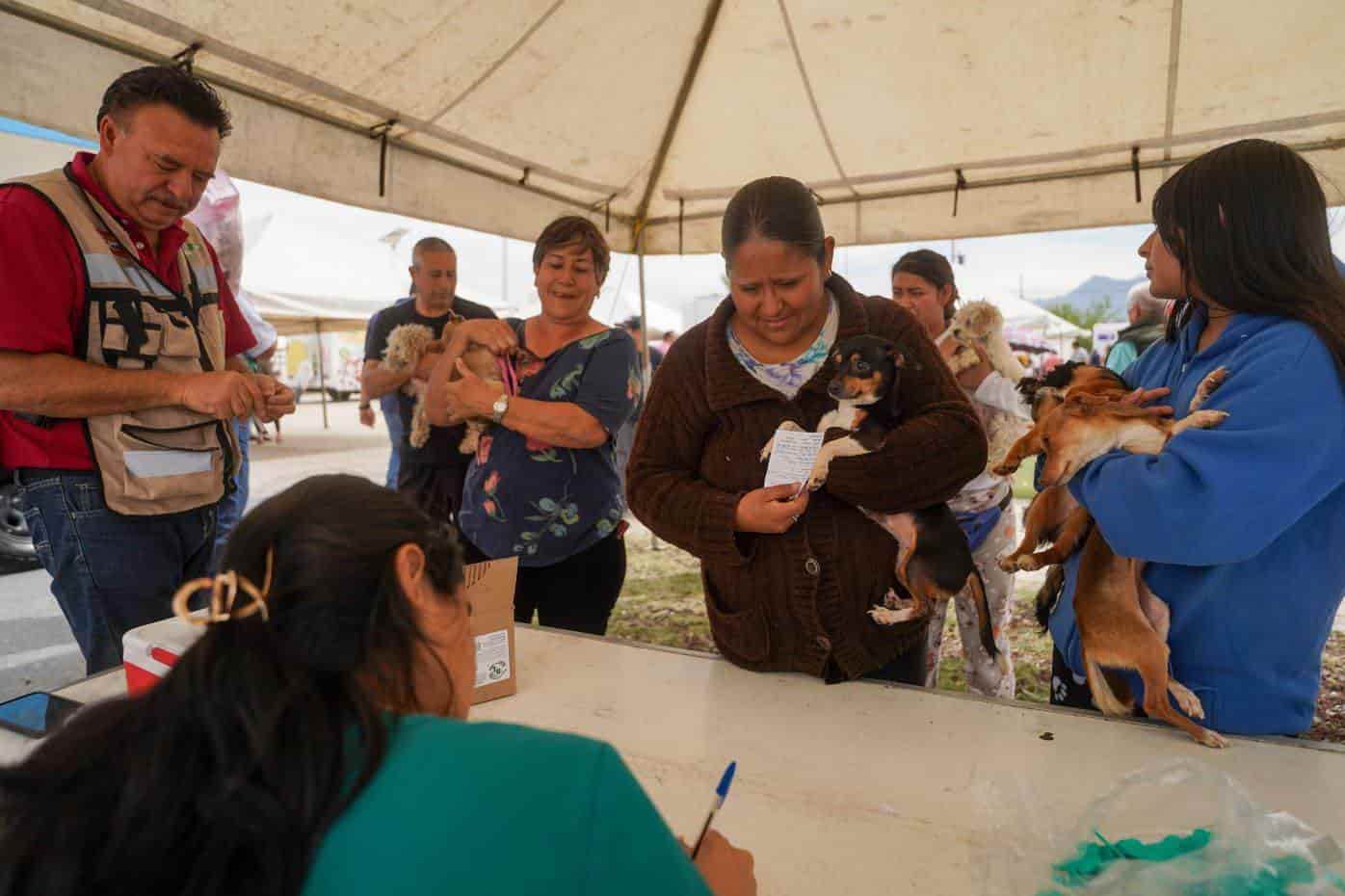 Ofrecen servicios para las mascotas 