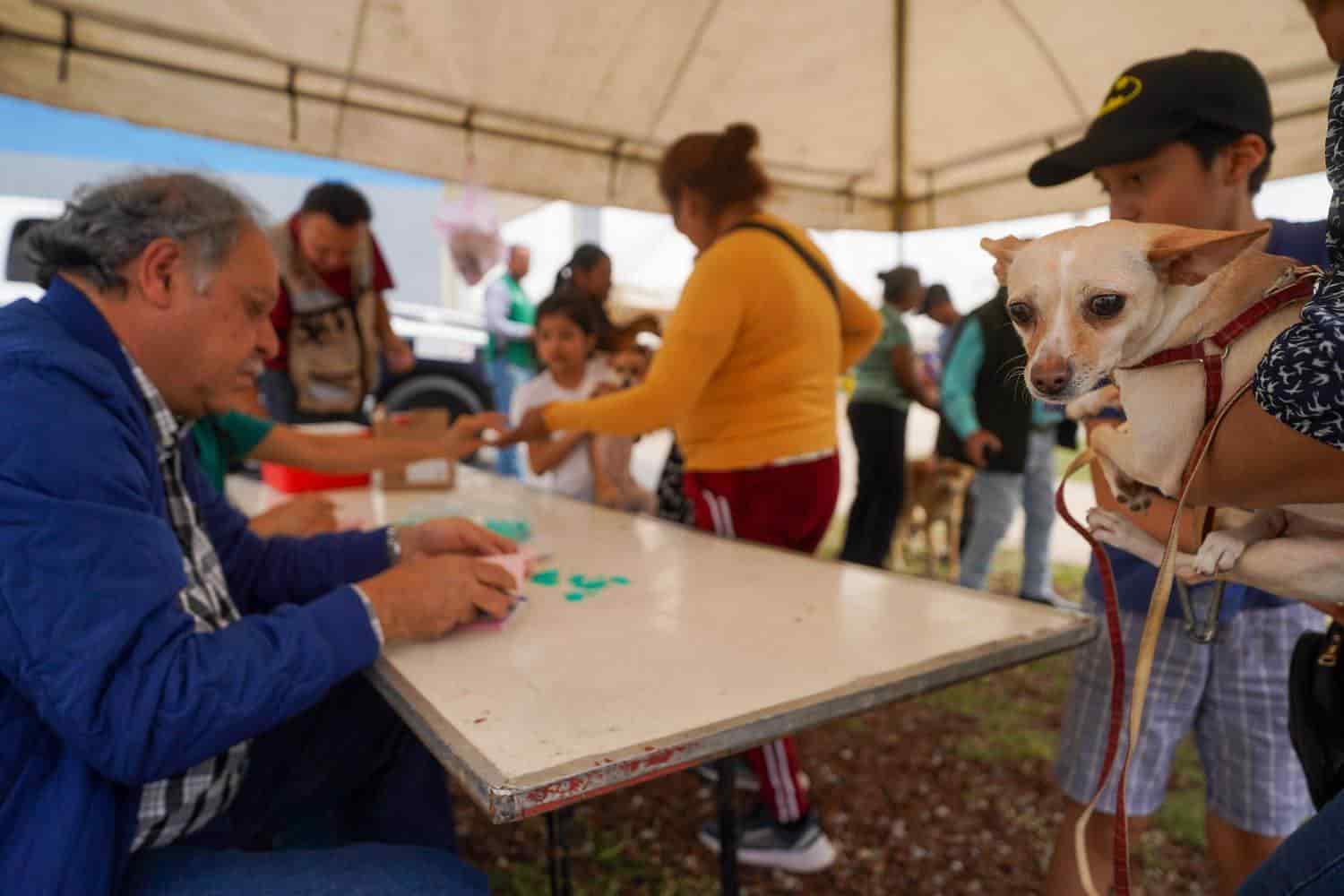 Ofrecen servicios para las mascotas 