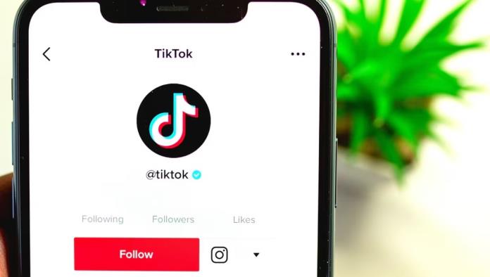 TikTok pagará por ver sus videos a través de esta nueva app