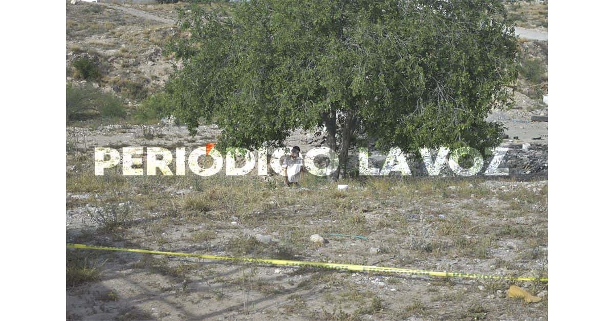 Lo hallan muerto colgando de árbol