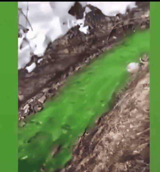 Rio en Rusia se tiñe de color verde toxico; Creen que fue una descarga industrial