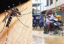 Alerta Dengue: Ciudad Acuña se Prepara para la Temporada de Lluvias