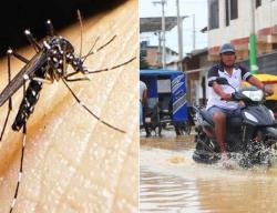 Alerta Dengue: Ciudad Acuña se Prepara para la Temporada de Lluvias