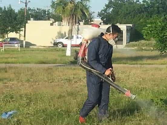 Inician fumigación en la Región Carbonífera