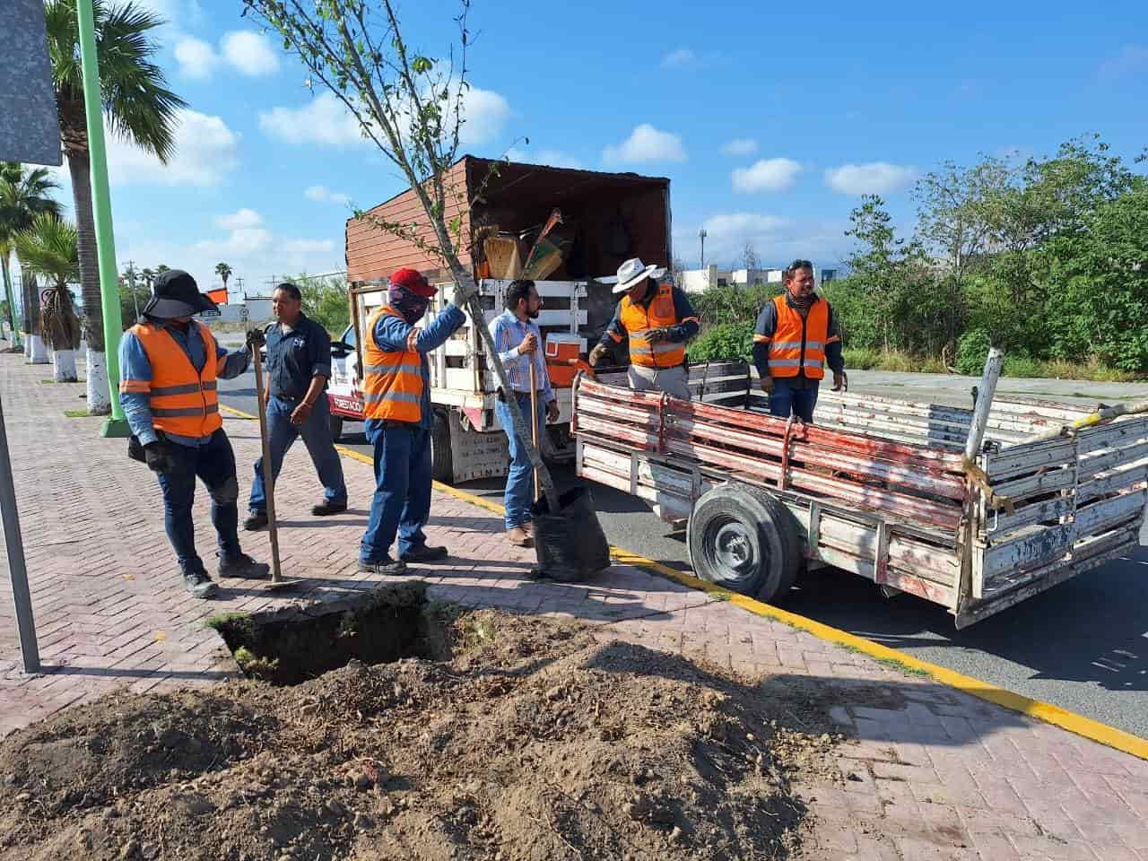 Reforestación en carretera 30.
