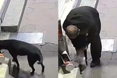 Indigna video de hombre robando croquetas a perrito callejero en Edomex