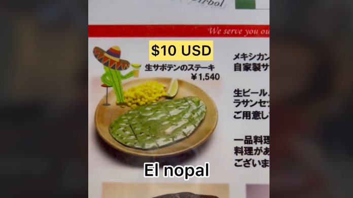 ¡Nopal internacional!; Venden nopal asado en Japón en 200 pesos ¡Nopal internacional!; Venden nopal asado en Japón en 200 pesos