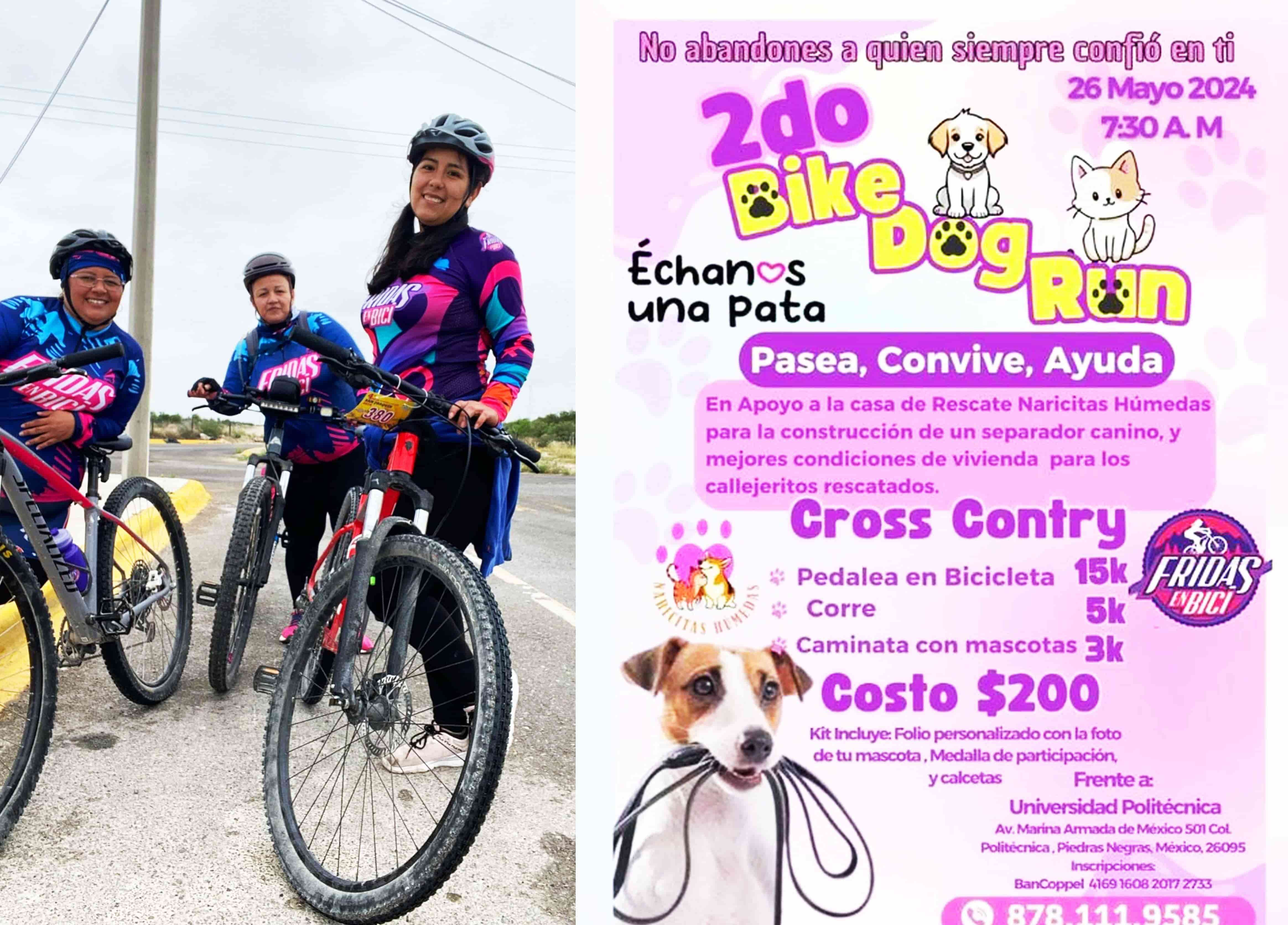 ¡Bike Dog Run 2024! Únete al evento solidario más perrón del año