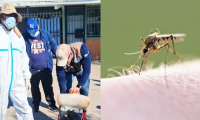 ¡Alerta! Dos Casos Sospechosos de Dengue Despiertan Preocupación en la Ciudad