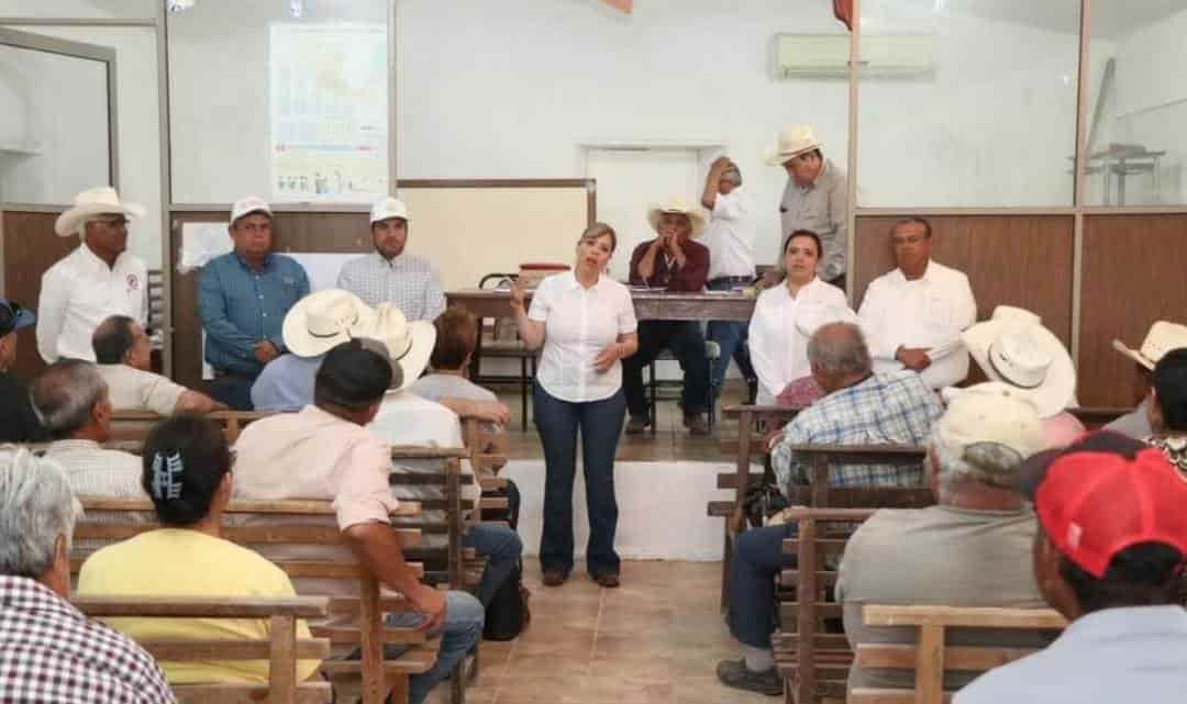 Abren asamblea para escuchar a Zulmma