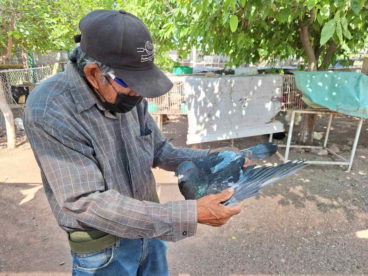 Invita Don Marco al aviario.