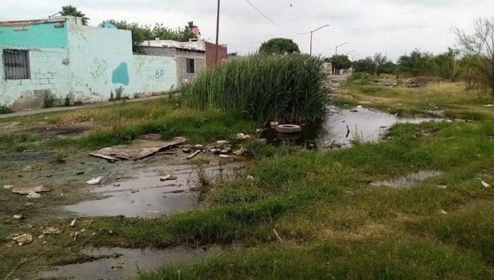 Alerta Sanitaria en La Hacienda: Vecinos Claman por Solución URGENTE al Colapso de Drenaje