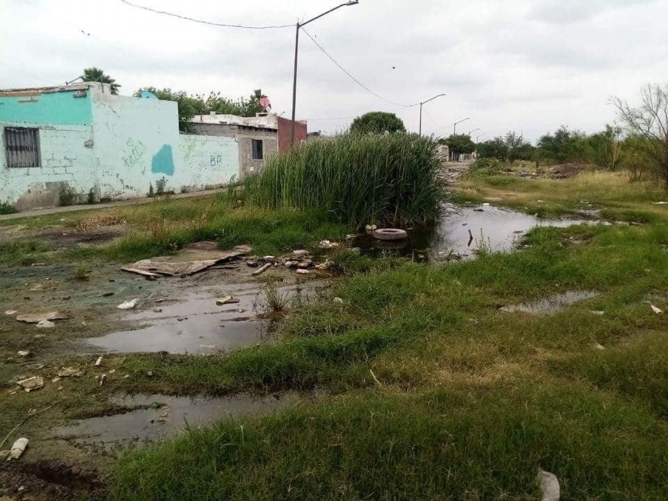Alerta Sanitaria en La Hacienda: Vecinos Claman por Solución URGENTE al Colapso de Drenaje