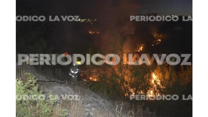 Se incendian carrizos