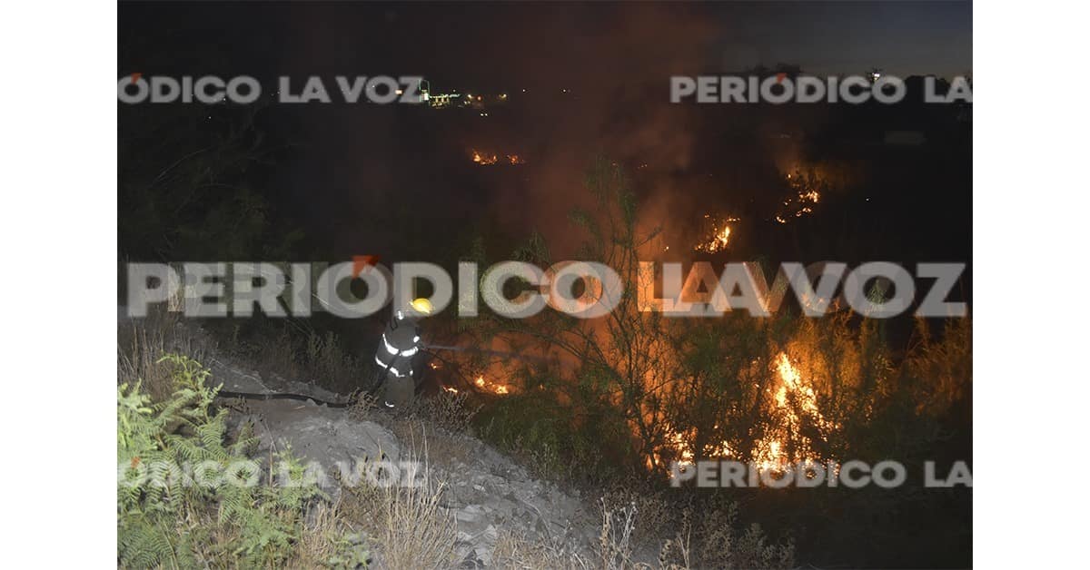 Se incendian carrizos