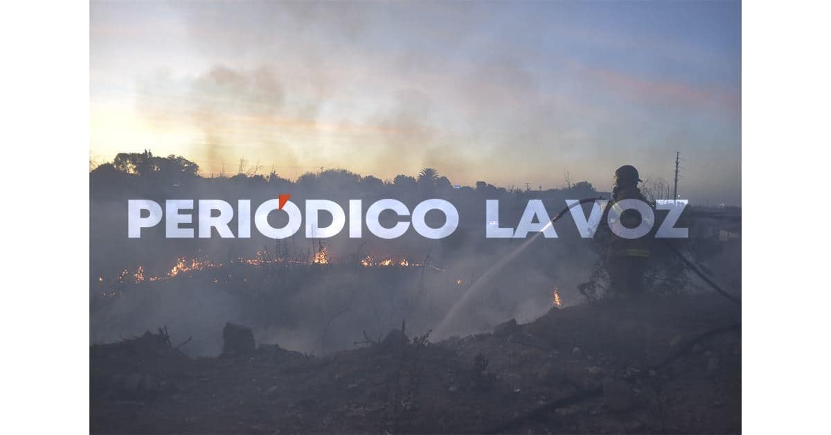 Se incendian carrizos