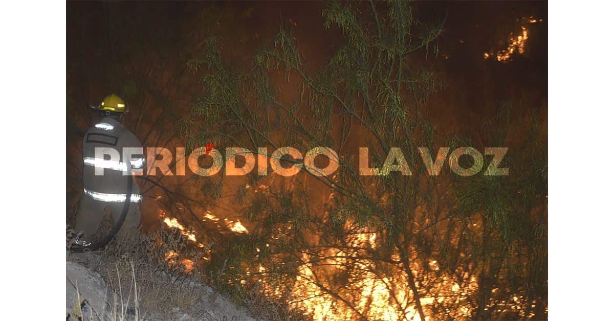 Se incendian carrizos