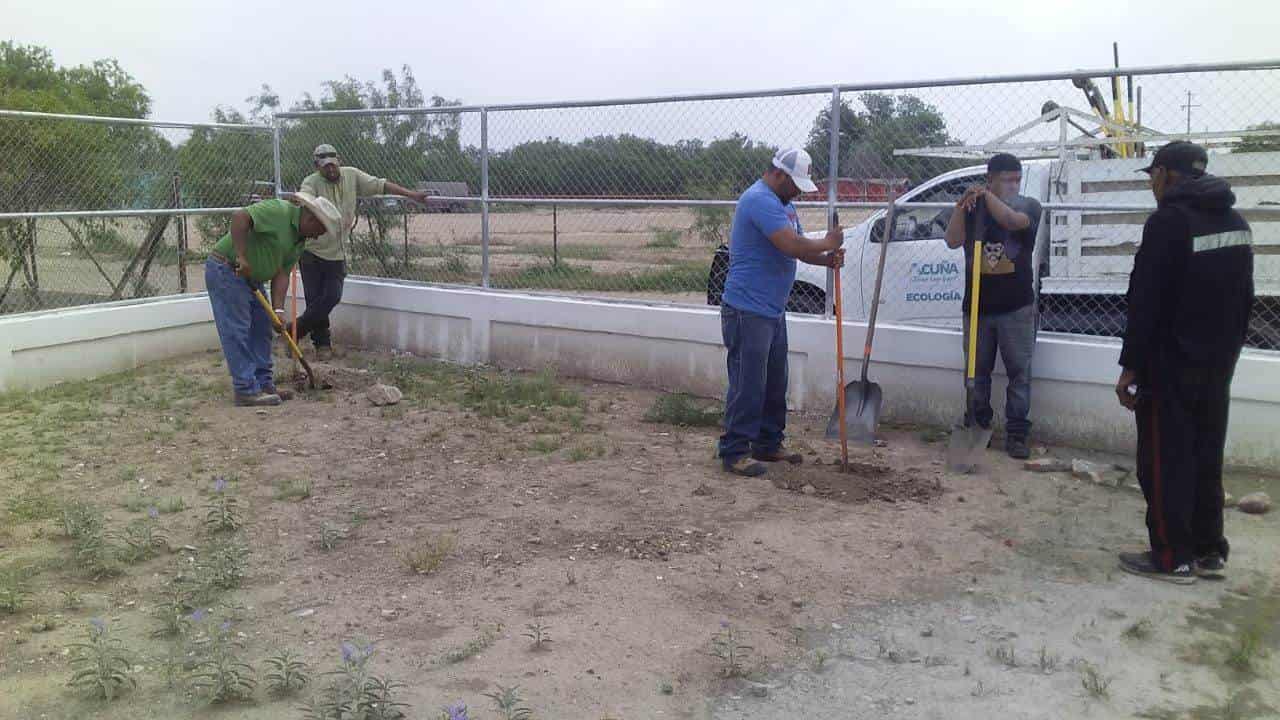 Impulsan la reforestación en escuelas de Acuña