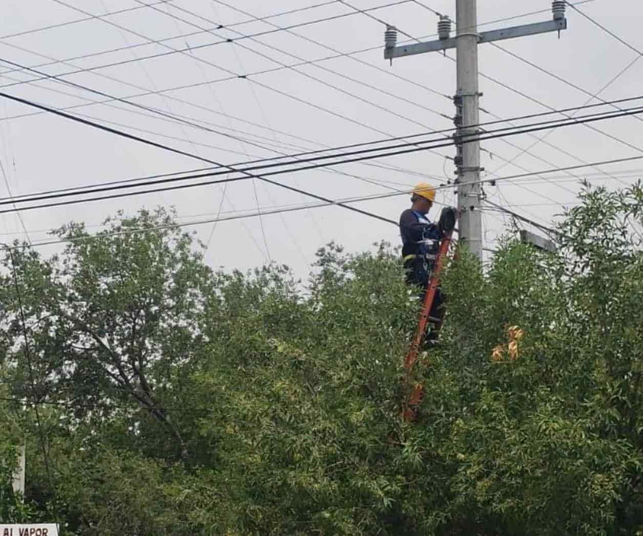 Se Quema Cableado de Telefonía Local