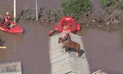 Rescatan a caballo en medio de inundaciones en Brasil