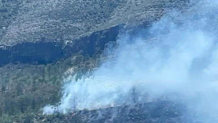 Fuego consume 20 hectáreas