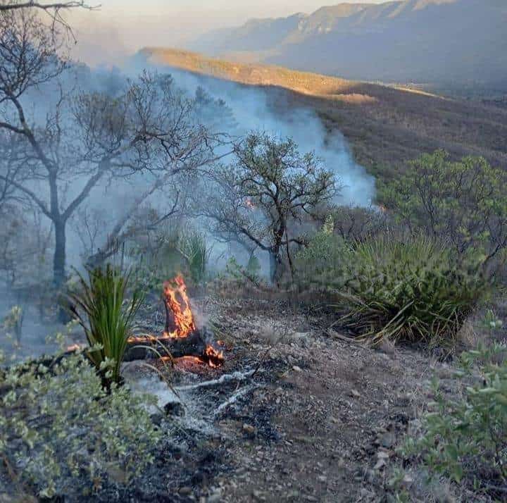 Fuego consume 20 hectáreas