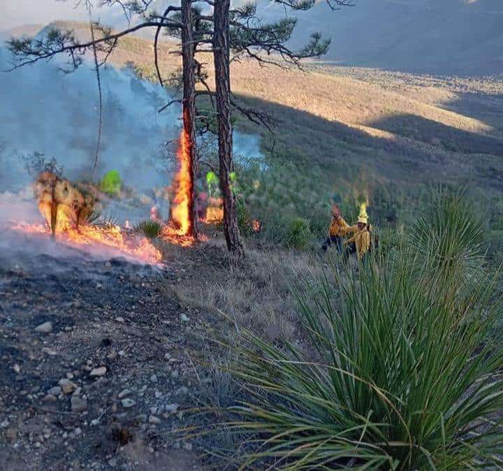 Fuego consume 20 hectáreas