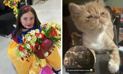 Luisa, de 5 años, fue sustraída por su papá; su mascota llora por su ausencia en Torreón