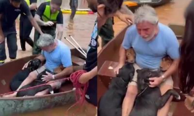 Sin importarle el peligro, hombre rescata a sus 4 perritos de las inundaciones en Brasil