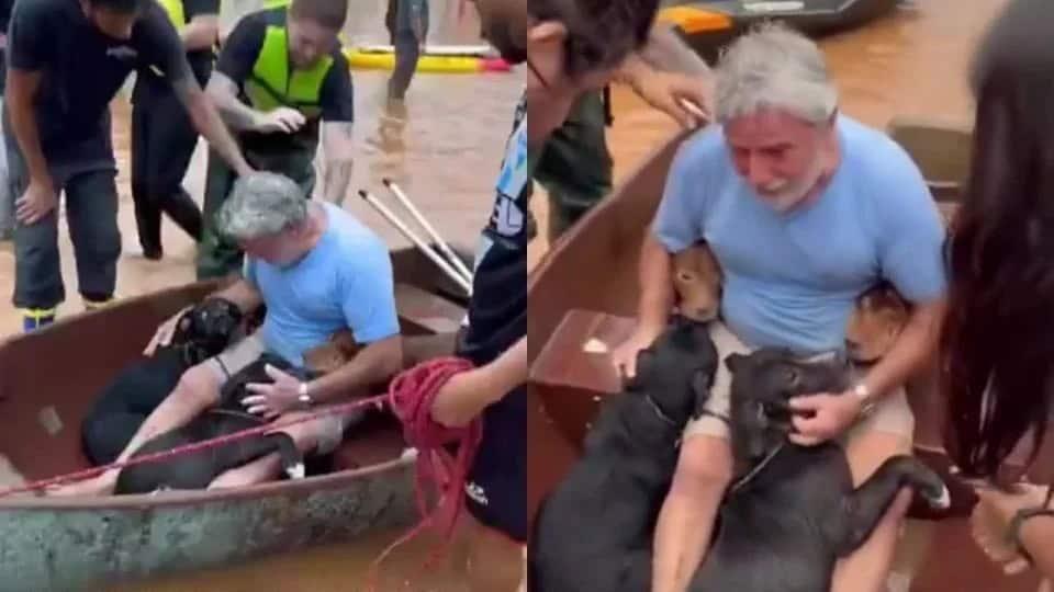 Sin importarle el peligro, hombre rescata a sus 4 perritos de las inundaciones en Brasil
