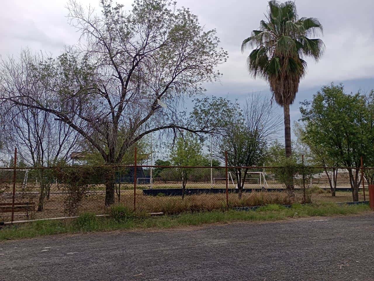 En deplorable abandono el Parque Deportivo AHMSA