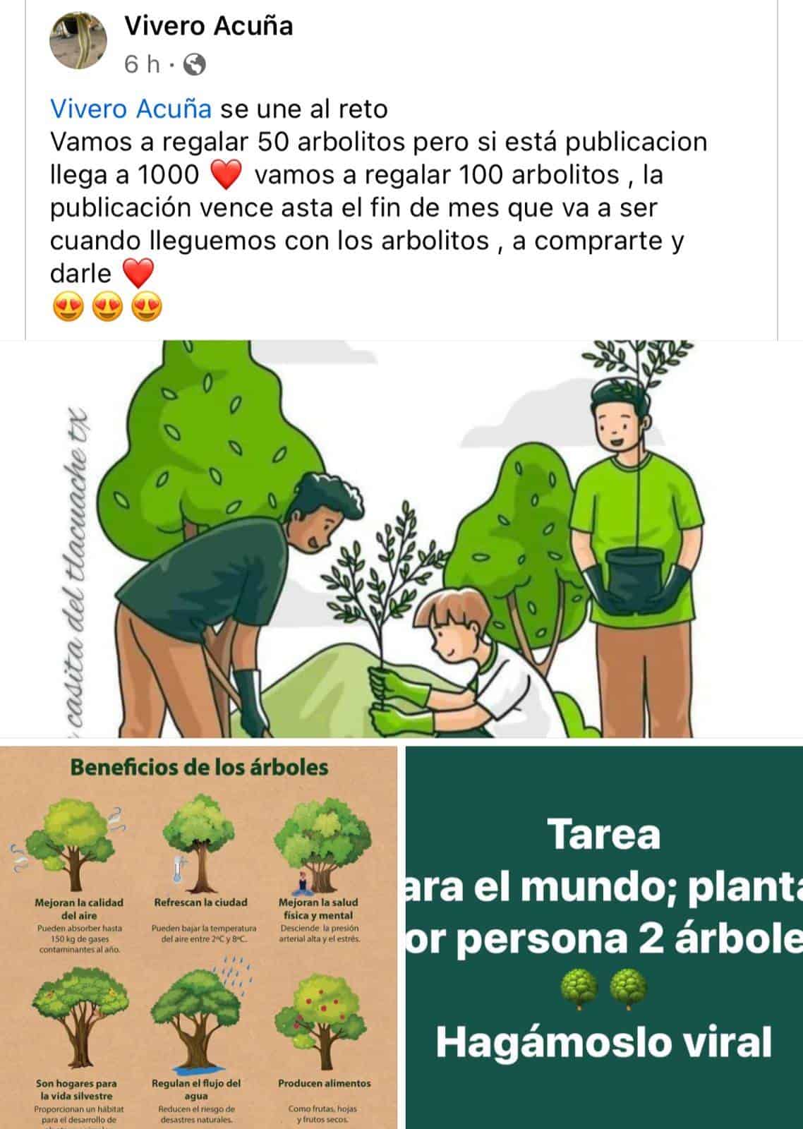 Promueven la ecología en Acuña y regalan 50 árboles para reforestación