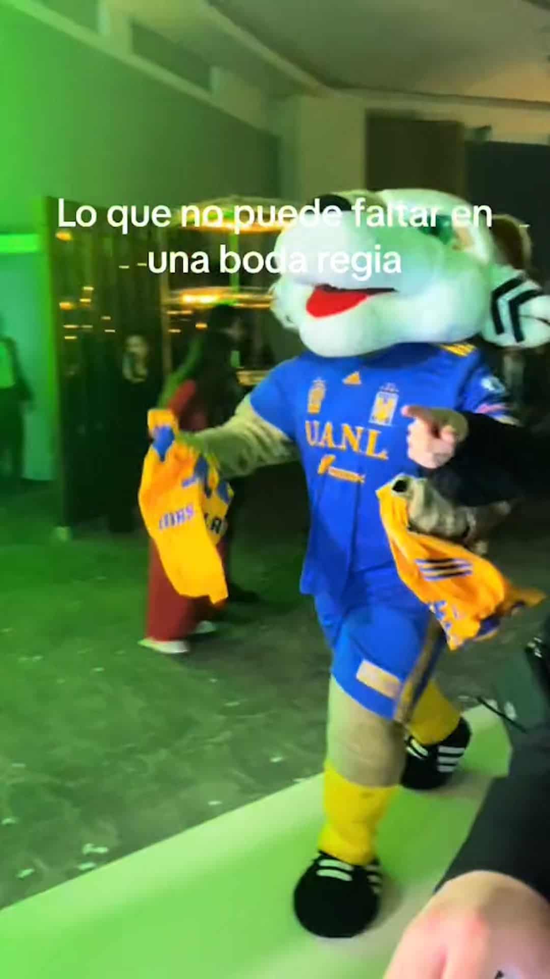 VIRAL: La BODA DE ENSUEÑO con Grupo Pesado y... ¡¿los Tigres?!