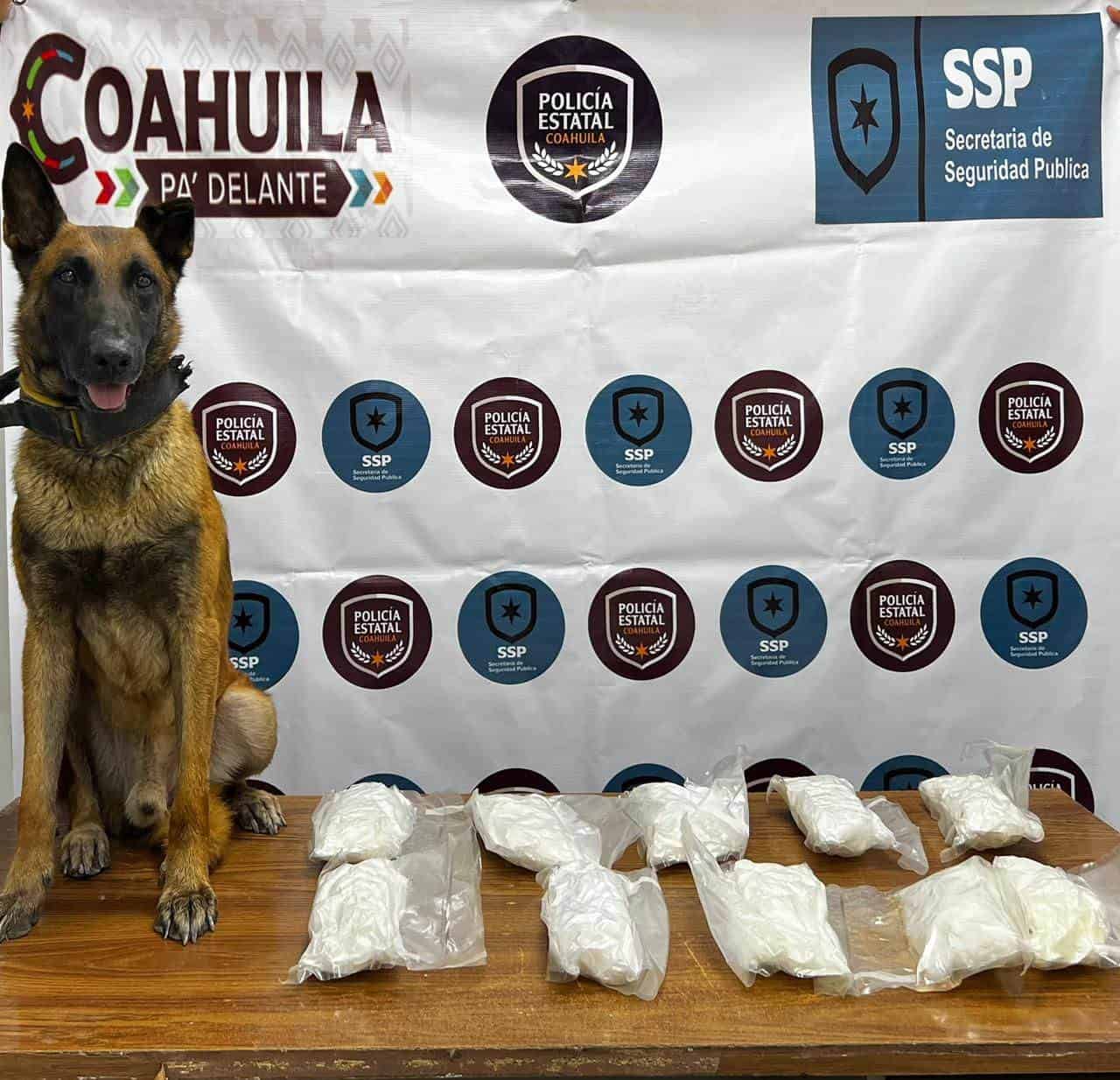ELEMENTO CANINO DE LA POLICÍA ESTATAL DETECTA MENTAFENTAMINA