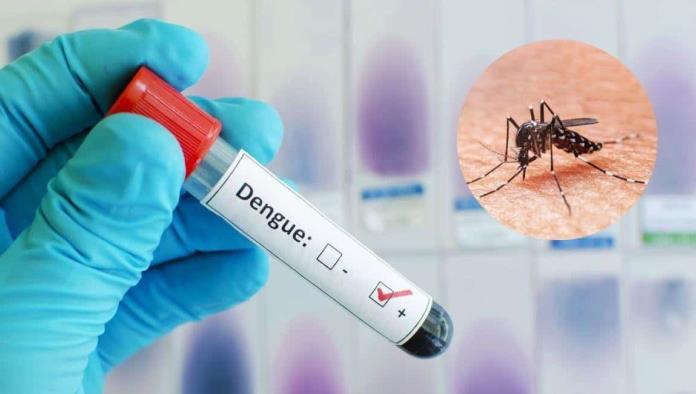 Prevén aumento de enfermedades como dengue y rickettsia