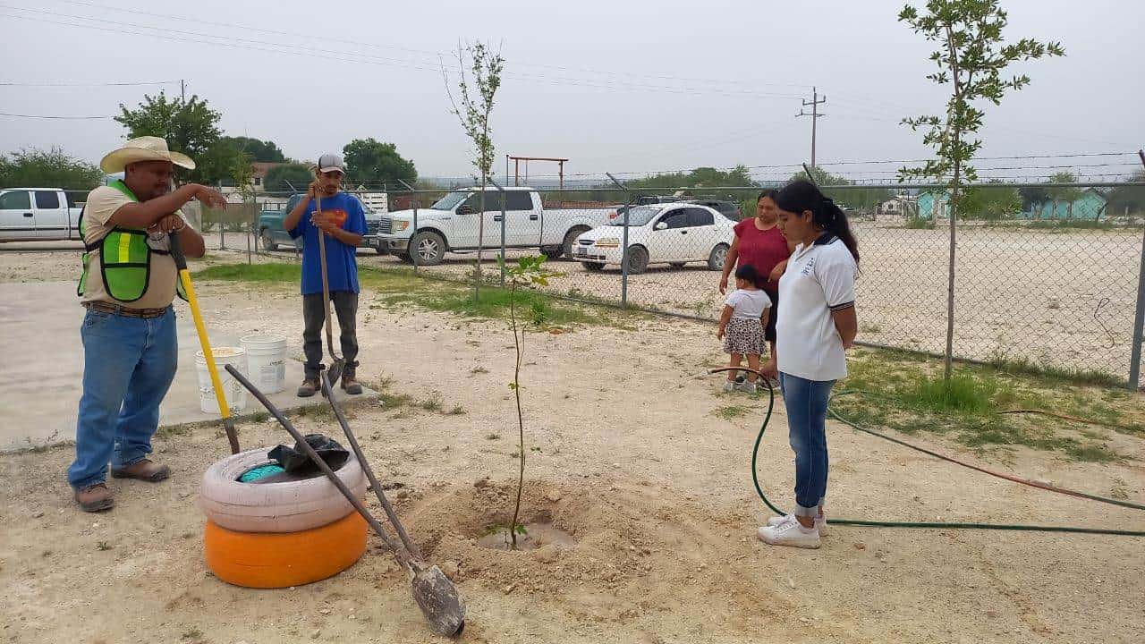 Llevan campaña de reforestación a ejidos del municipio