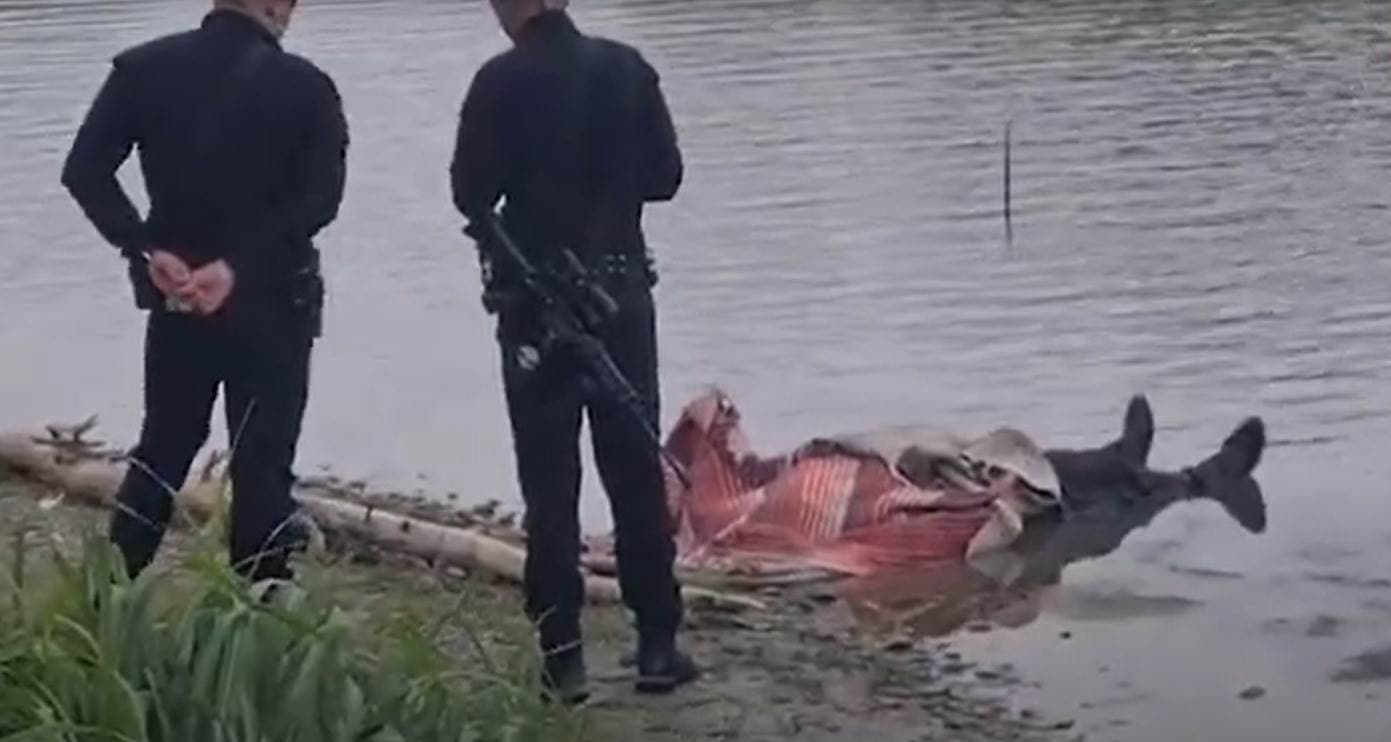 Familiares identifican cuerpo ahogado encontrado en el río Bravo