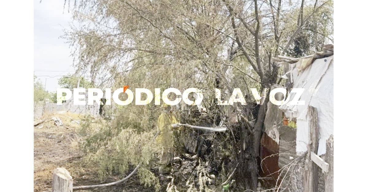 Reportan incendio en casa; solo era maleza