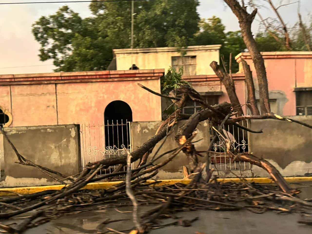 ¡Contingencia en Carbonífera!