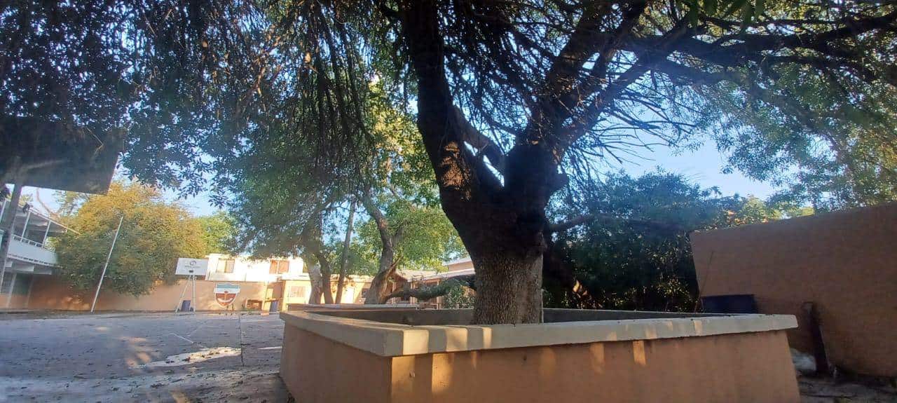 DESASTRE: Escuelas locales afectadas por intensas lluvias y fuertes vientos