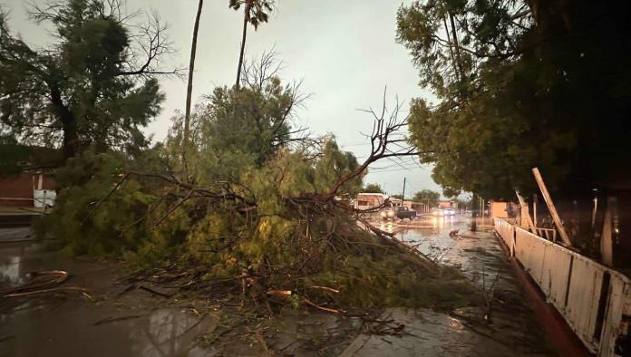 ¡APAGONES Y DESASTRE! Así dejó la TORMENTA a la ciudad
