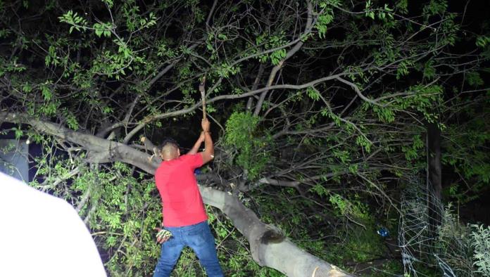 Tormenta DEVASTA la Región; Morelos el Más Afectado