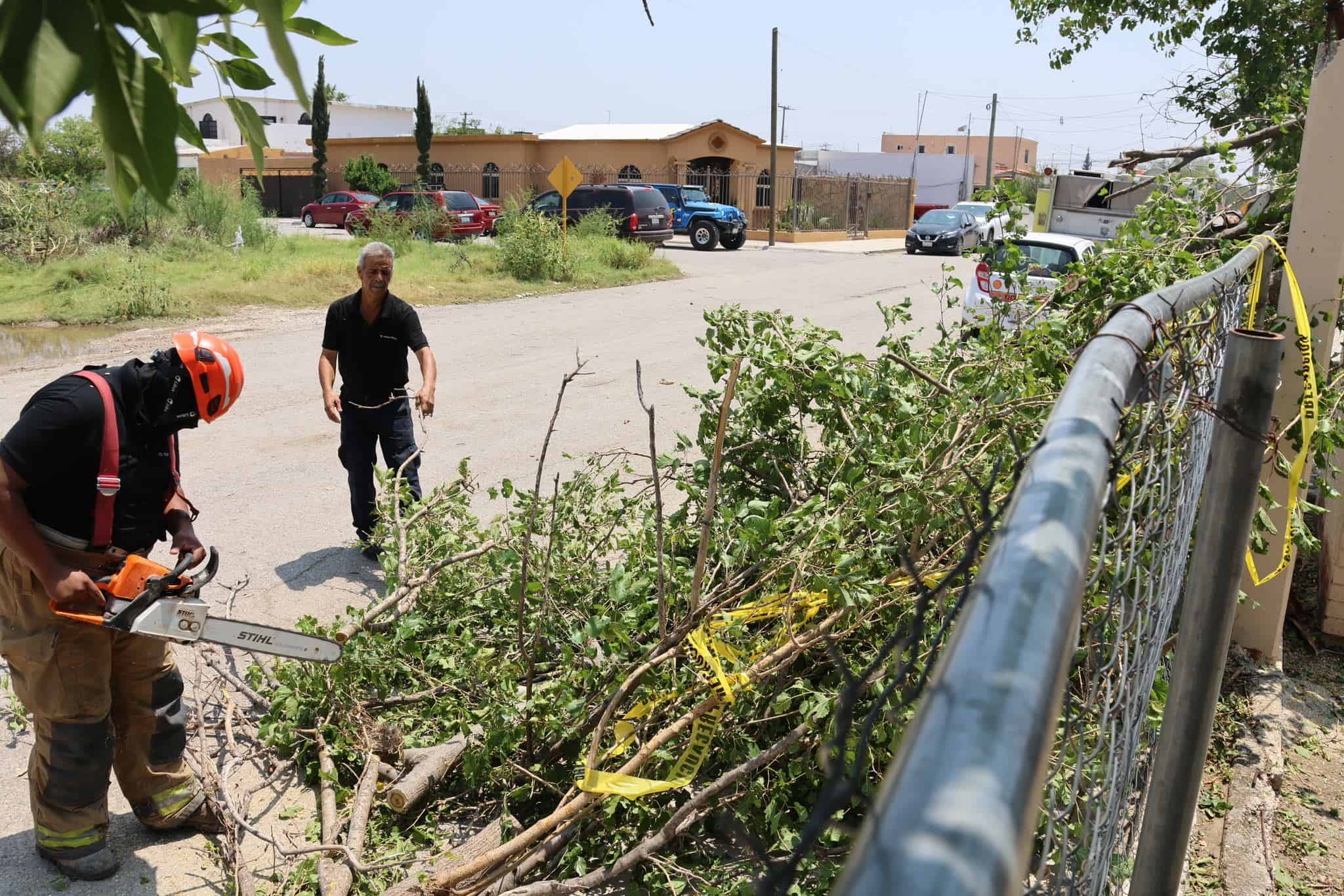 Retiran Escombros y Árboles de la Vía Pública