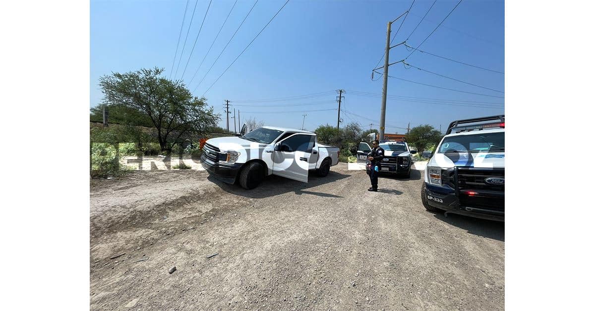 Encuentran muerta camada de cachorros